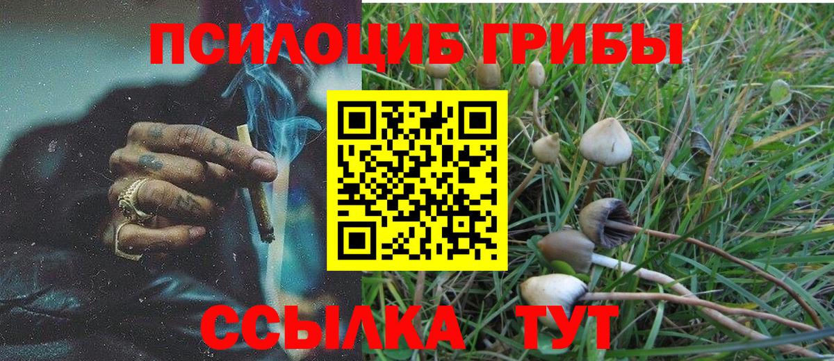 Галлюциногенные грибы GOLDEN TEACHER  Вход с VPN  Псилоцибиновые грибы Cubensis  Петровск 